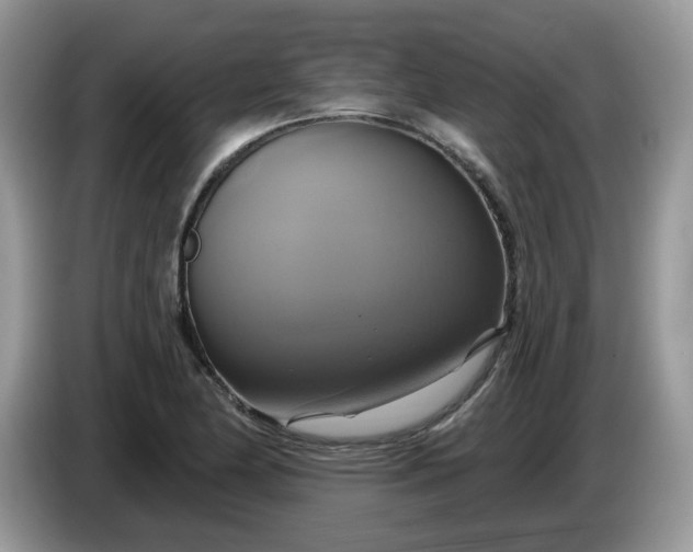 X0000086221174200704121852