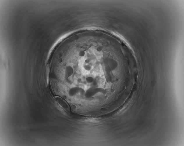 X0000086221175200704121852