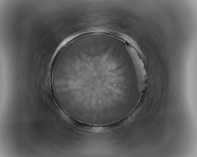 X0000086221176200704121852