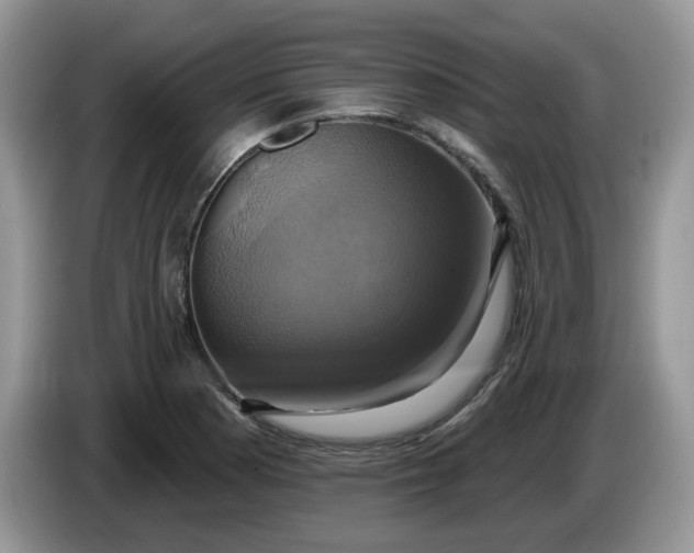 X0000086221177200704121852