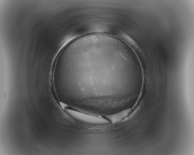 X0000086221178200704121851