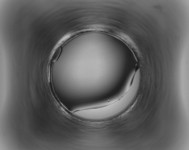 X0000086221180200704121851