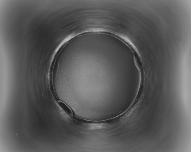 X0000086221181200704121851