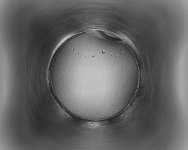 X0000086221182200704121851