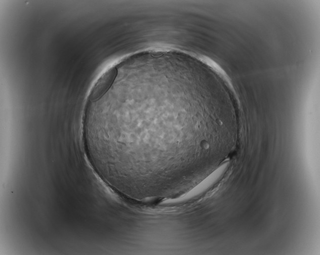 X0000086221183200704121851