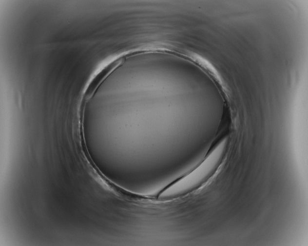 X0000086221184200704121851