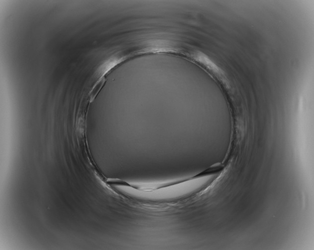 X0000086221185200704121851