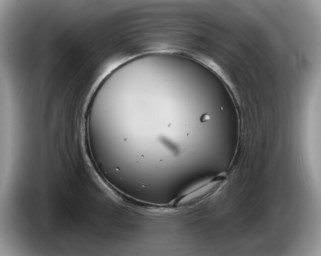 X0000086221187200704121851