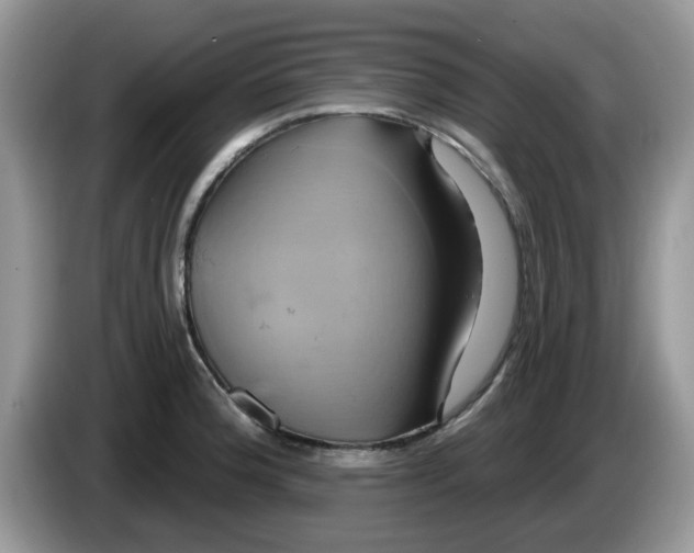 X0000086221188200704121851