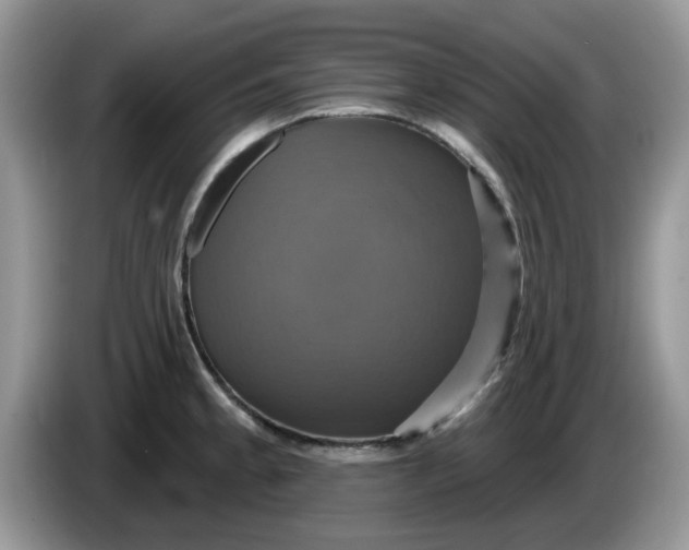 X0000086221189200704121851