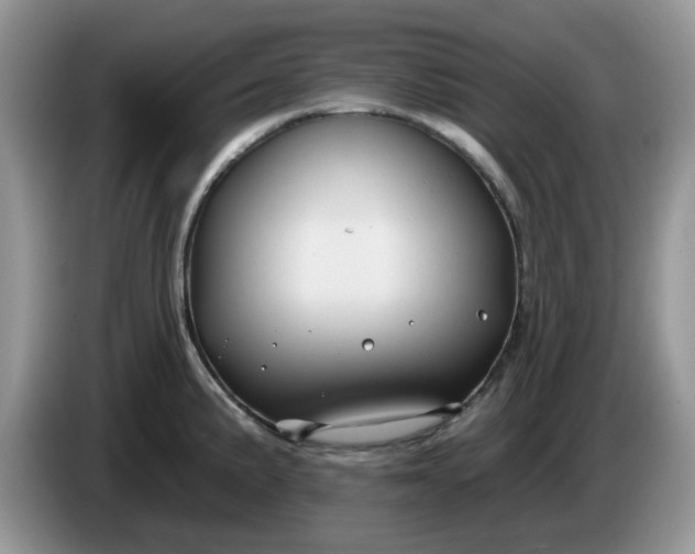 X0000086221191200704121851