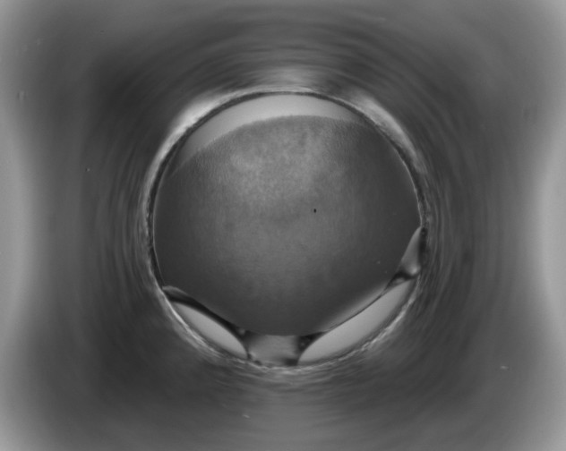 X0000086221192200704121851