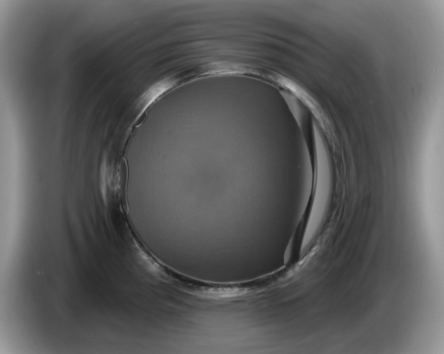 X0000086221193200704121851