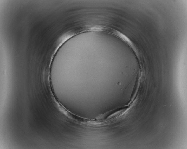 X0000086221194200704121851