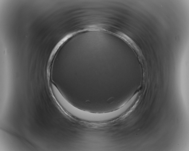 X0000086221196200704121851