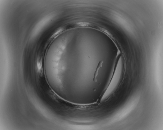 X0000086221198200704121851