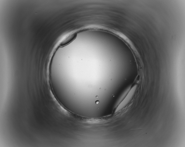 X0000086221199200704121851