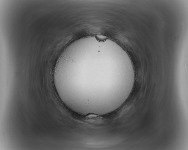 X0000086221201200704121851