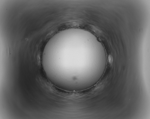 X0000086221203200704121851