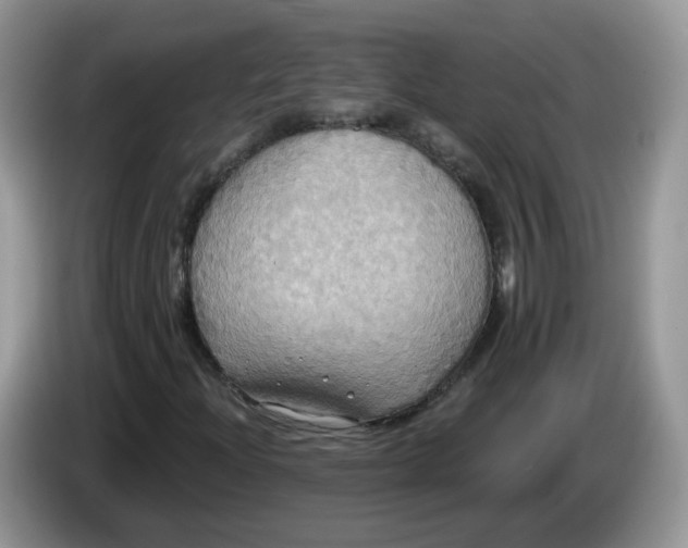 X0000086221204200704121851