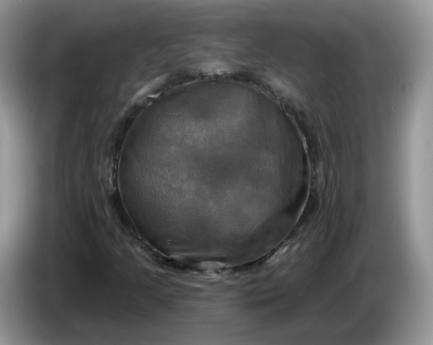 X0000086221205200704121851