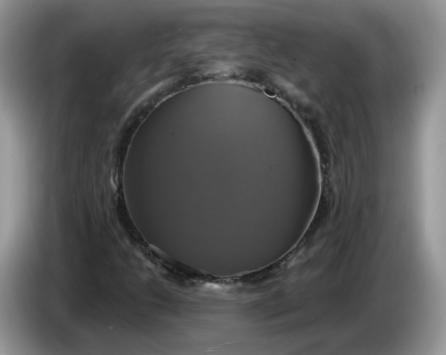 X0000086221206200704121851