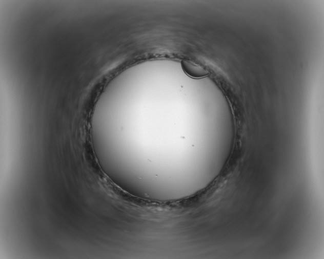 X0000086221207200704121851