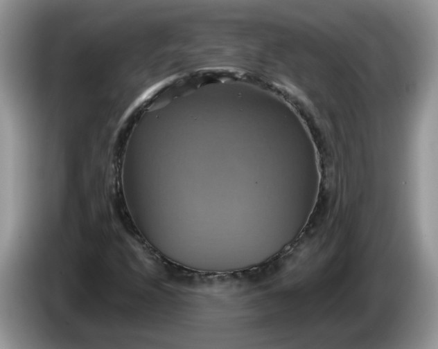 X0000086221208200704121851