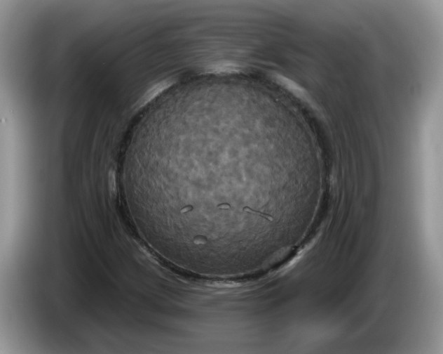 X0000086221209200704121851