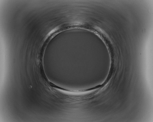 X0000086221210200704121851