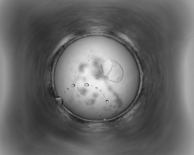 X0000086221211200704121851