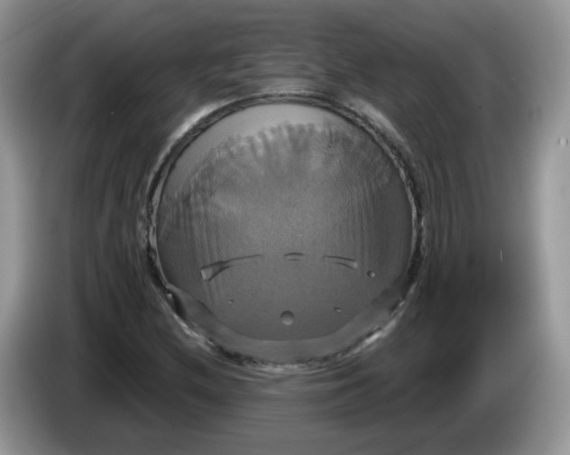 X0000086221212200704121851