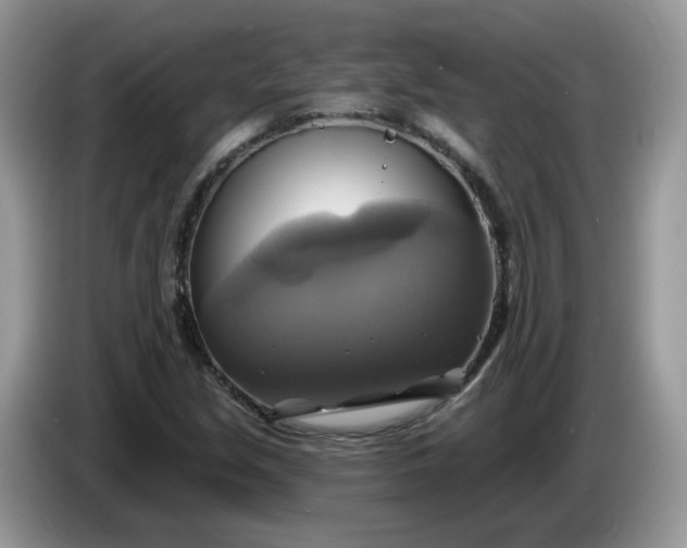 X0000086221213200704121851