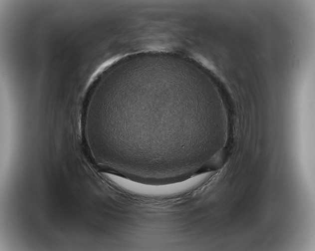 X0000086221214200704121851