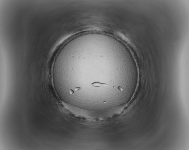 X0000086221215200704121851