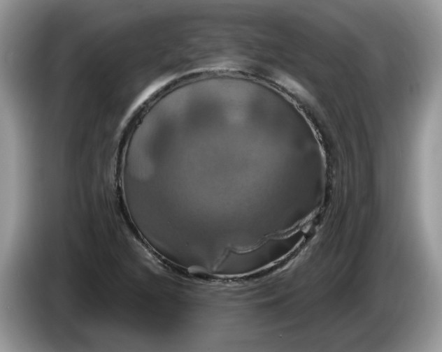 X0000086221216200704121851