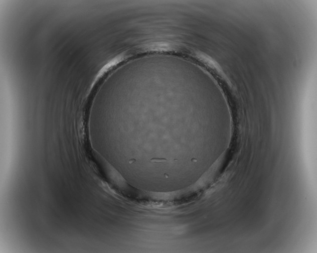 X0000086221218200704121851