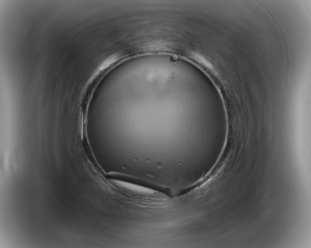 X0000086221219200704121851