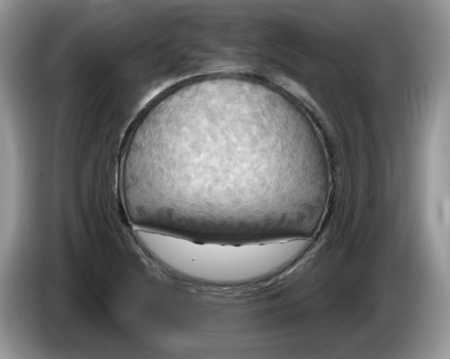 X0000086221220200704121851