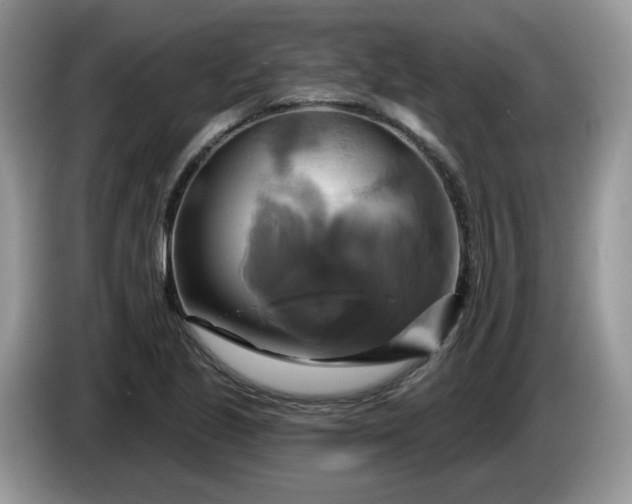 X0000086221221200704121851