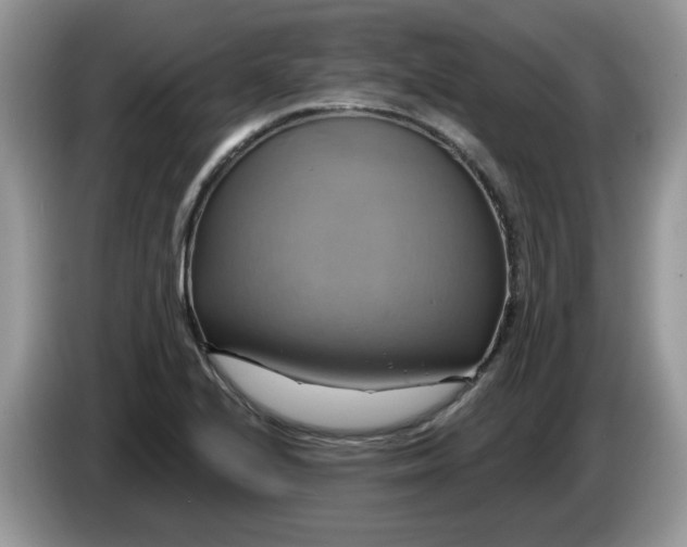 X0000086221224200704121851