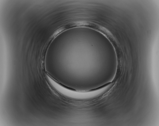 X0000086221225200704121851