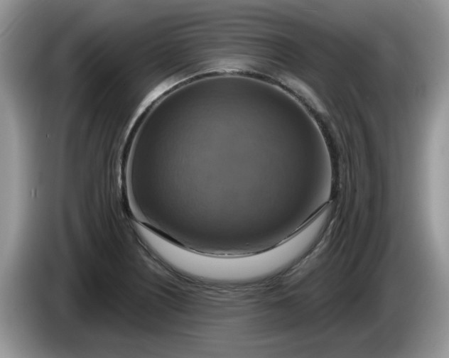 X0000086221226200704121851