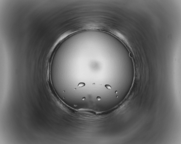 X0000086221227200704121851