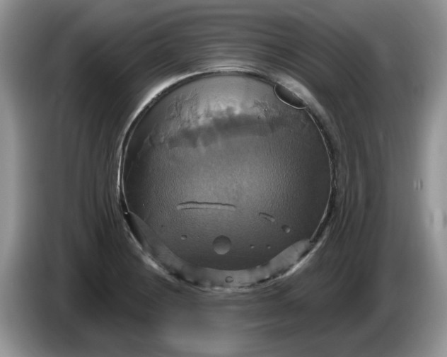 X0000086221228200704121851