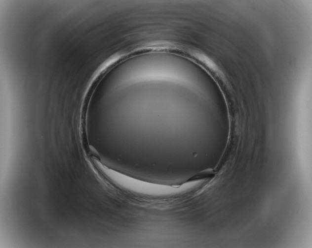 X0000086221229200704121851