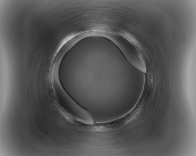 X0000086221230200704121851