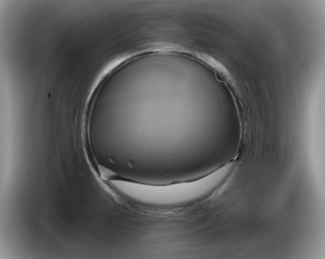 X0000086221231200704121851