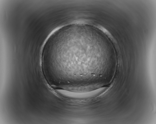 X0000086221232200704121851