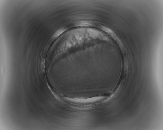 X0000086221233200704121851